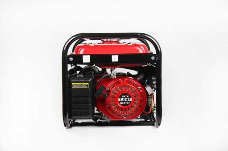 Генератор Bison 3 кВт газ / бензин Оригінал мідна обмотка 1 -фазний