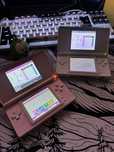 Nintendo DS Lite 2 штуки