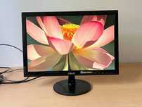 Монітор ASUS / 19 дюймів / HD+ / TN