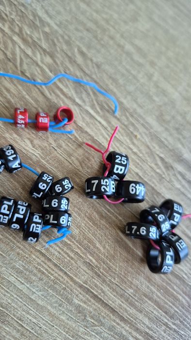 Obrączki dla papug 2025rok  23sztuki