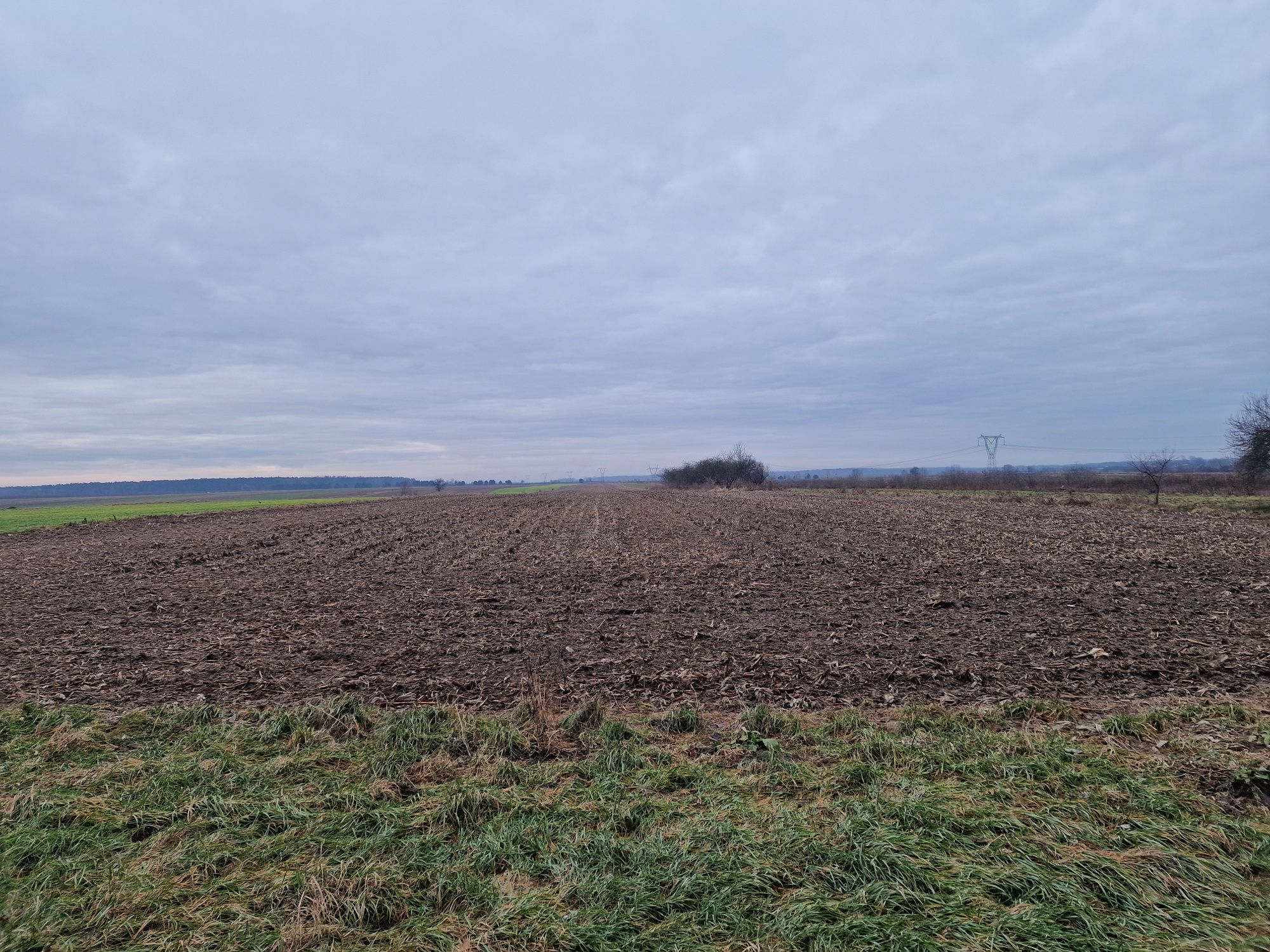 Wydzierżawię ziemię rolną 6ha lub więcej