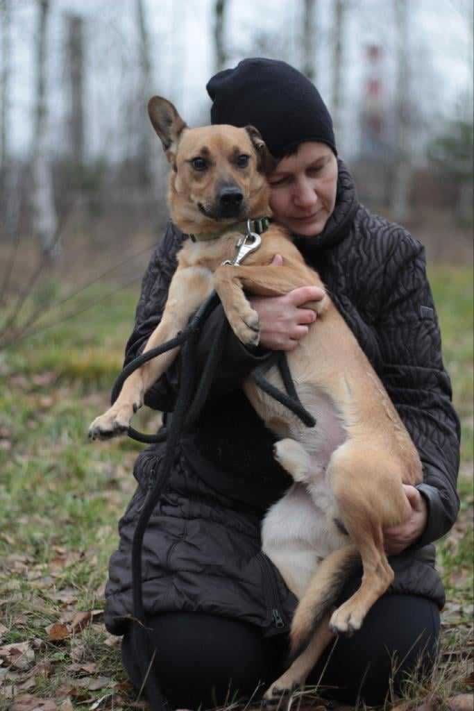 młody, energiczny, przyjazny pies czeka na dom