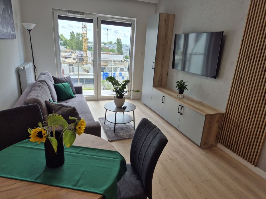 Wynajmę mieszkanie 2 pokojowe Poznań ul. Ząbkowicka