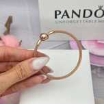 ТОП Браслет сітчастий Pandora Moments 586543 Браслет Пандора Моментс