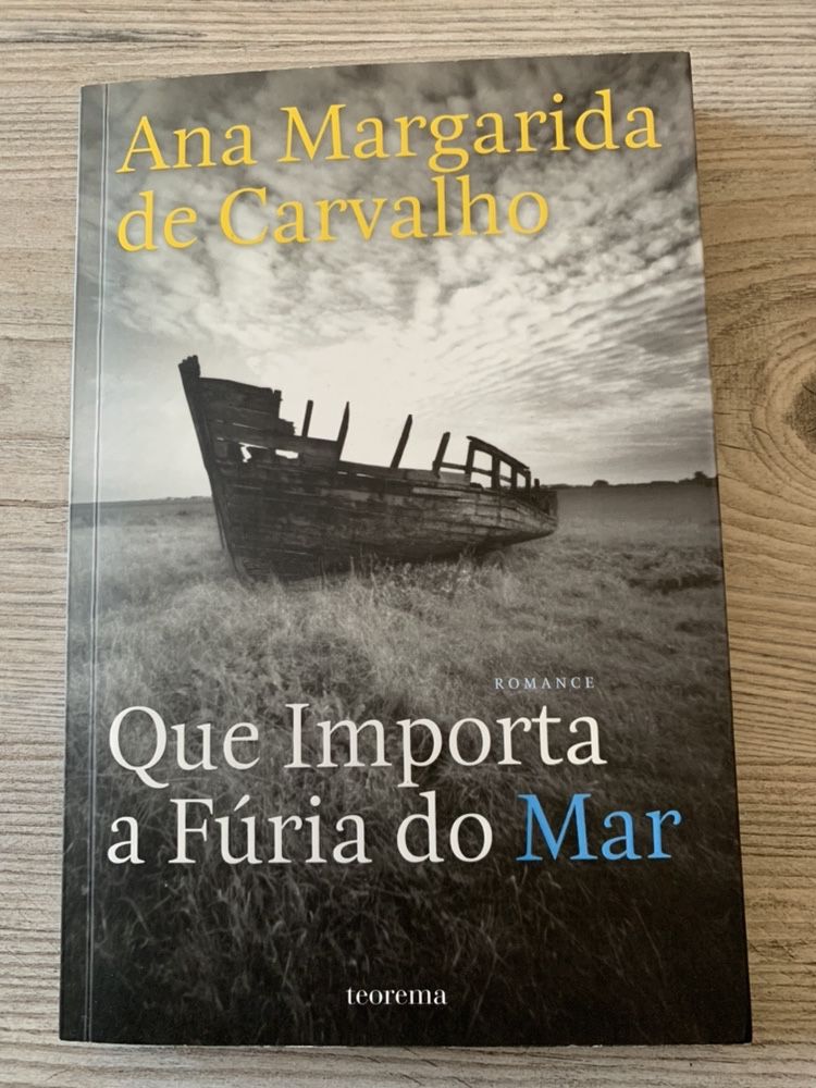 Que importa a fúria do Mar - Ana Margarida de Carvalho