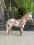 Konik shleich Klacz British Spotted Pony CollectA 88750