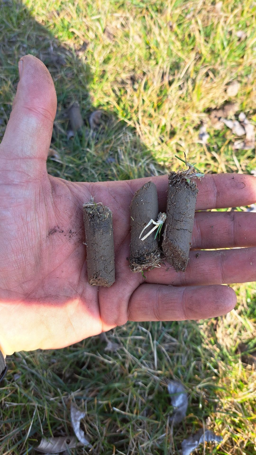 Wynajem aerator z operatorem
