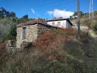 Quintinha em Baião (Grilo)