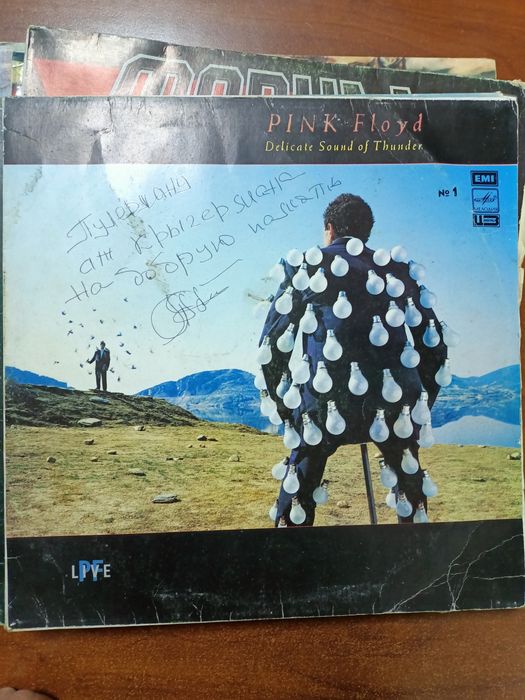 Виниловые пластинки