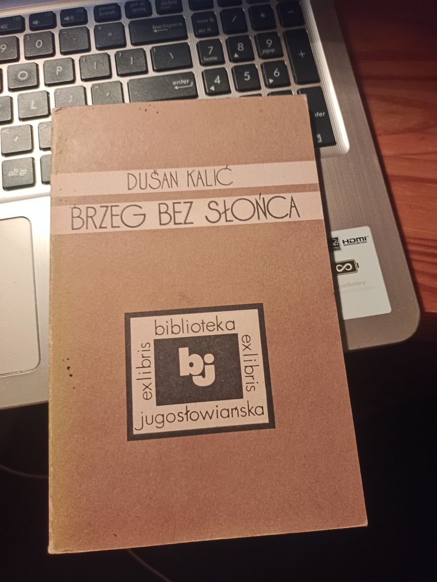 Brzeg Bez Słońca - Dušan Kalić