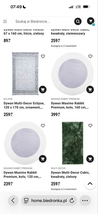 Dywan Maximo Rabbit Premium biało/ szary