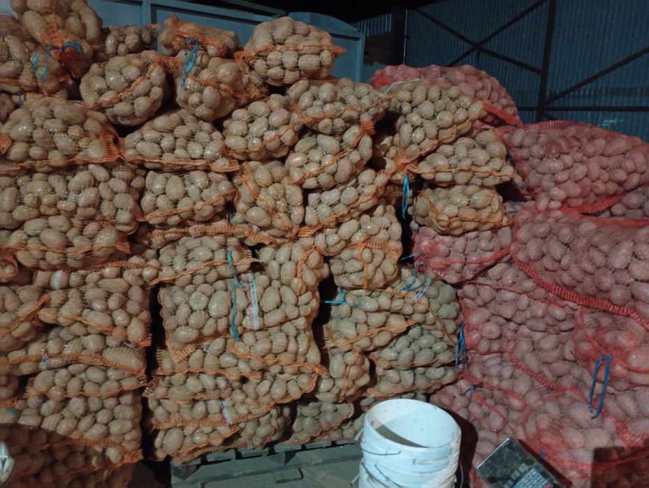 Ziemniaki drobne odpadowe