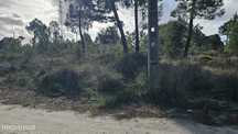 Terreno Rustico com 300m² -Fernao Ferro (Foros da Catrapona)