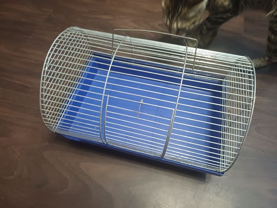 Клітка для гризуна