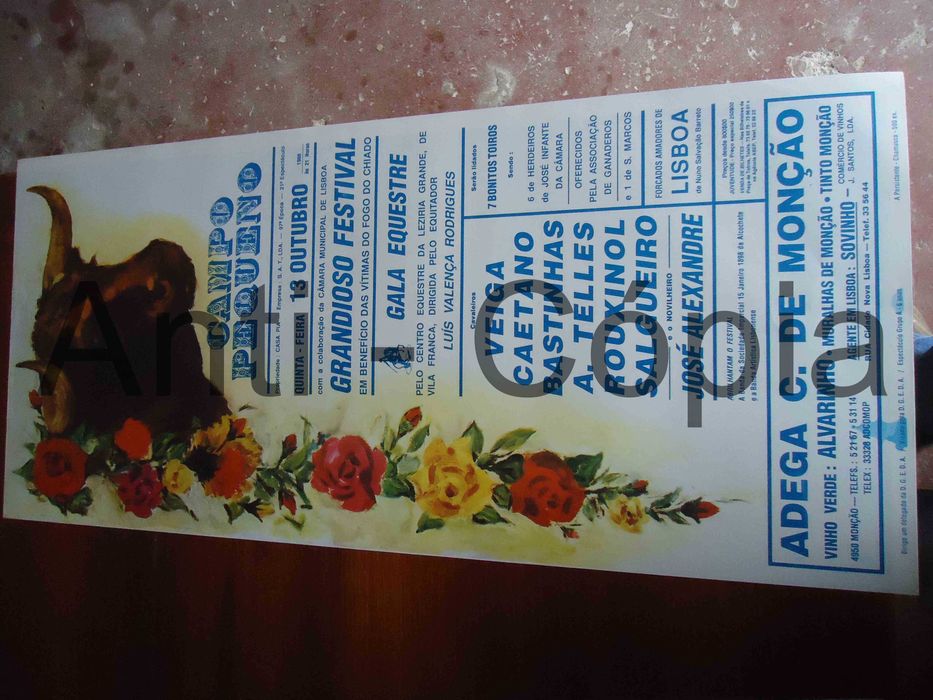 Toiros - Cartazes de Montra 2