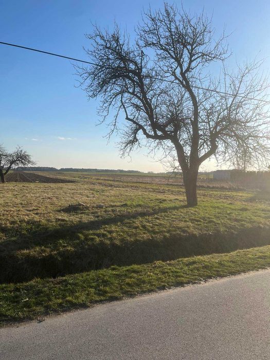 Działka rolna 3.03h Janówka gmina Rozprza