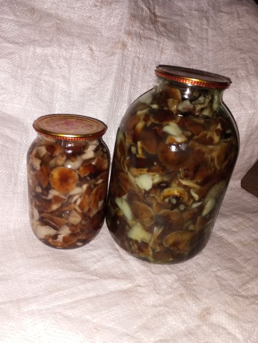 Мариновані сливи.  Мариновані опеньки