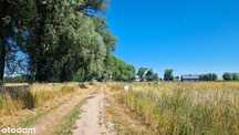 Przestronne działki, jezioro, plaża, miejscowy plan zagospodarowania