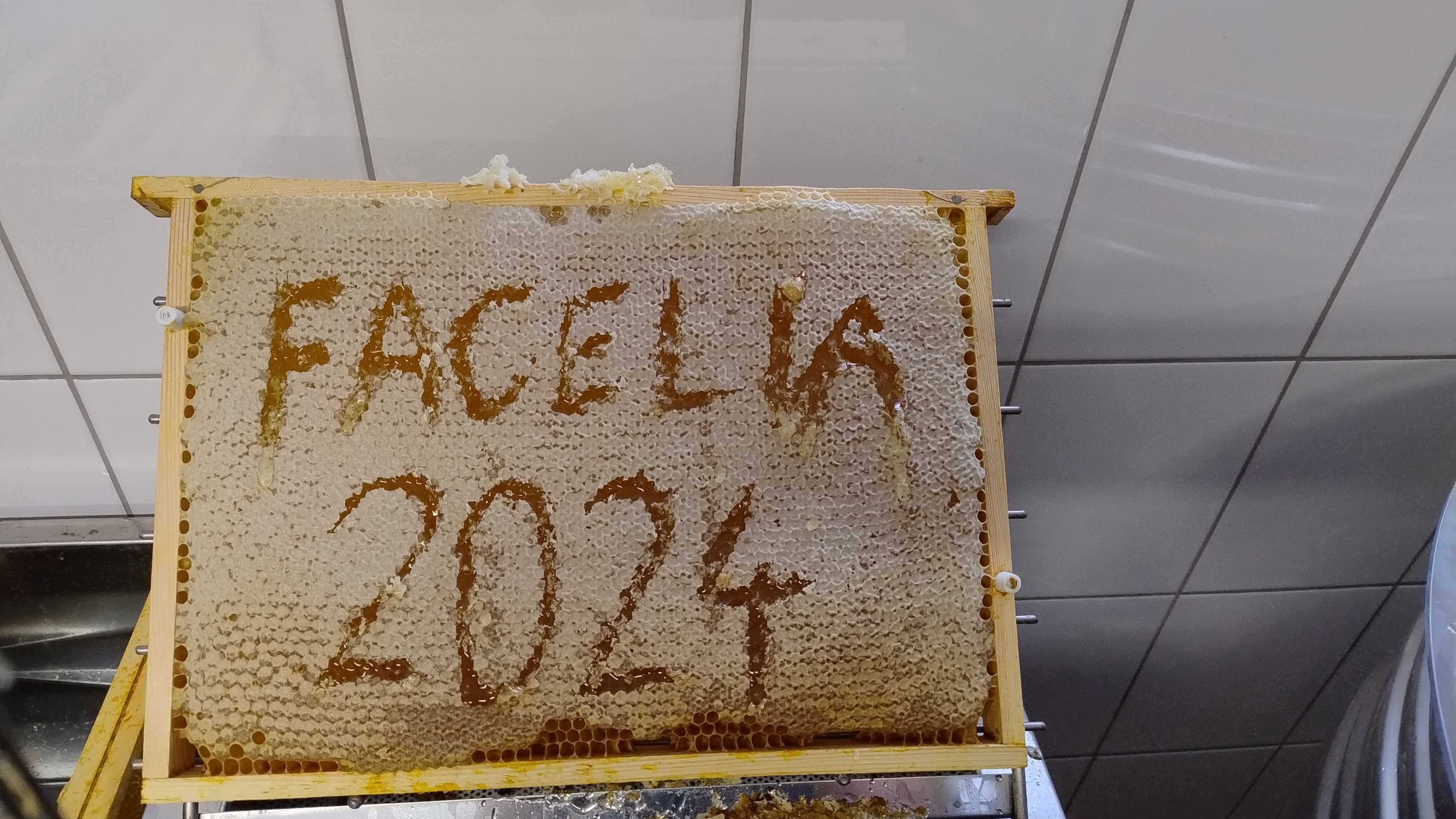 Miód faceliowy 2024, miód z własnej pasieki.