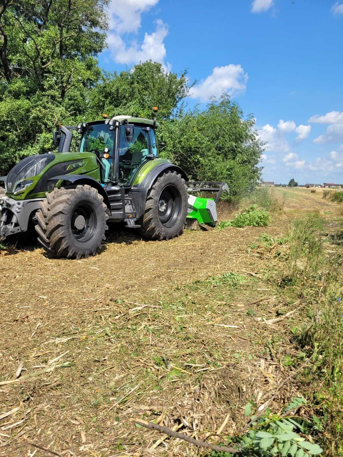 Porządkowanie działek z drzew krzewów Mulczer Karczowanie