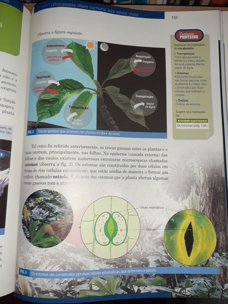 Manual Ciências da Natureza  6.º ano