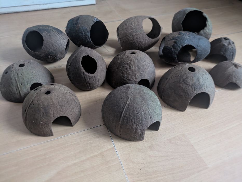 13 Kryjówek z kokosu - różne rodzaje