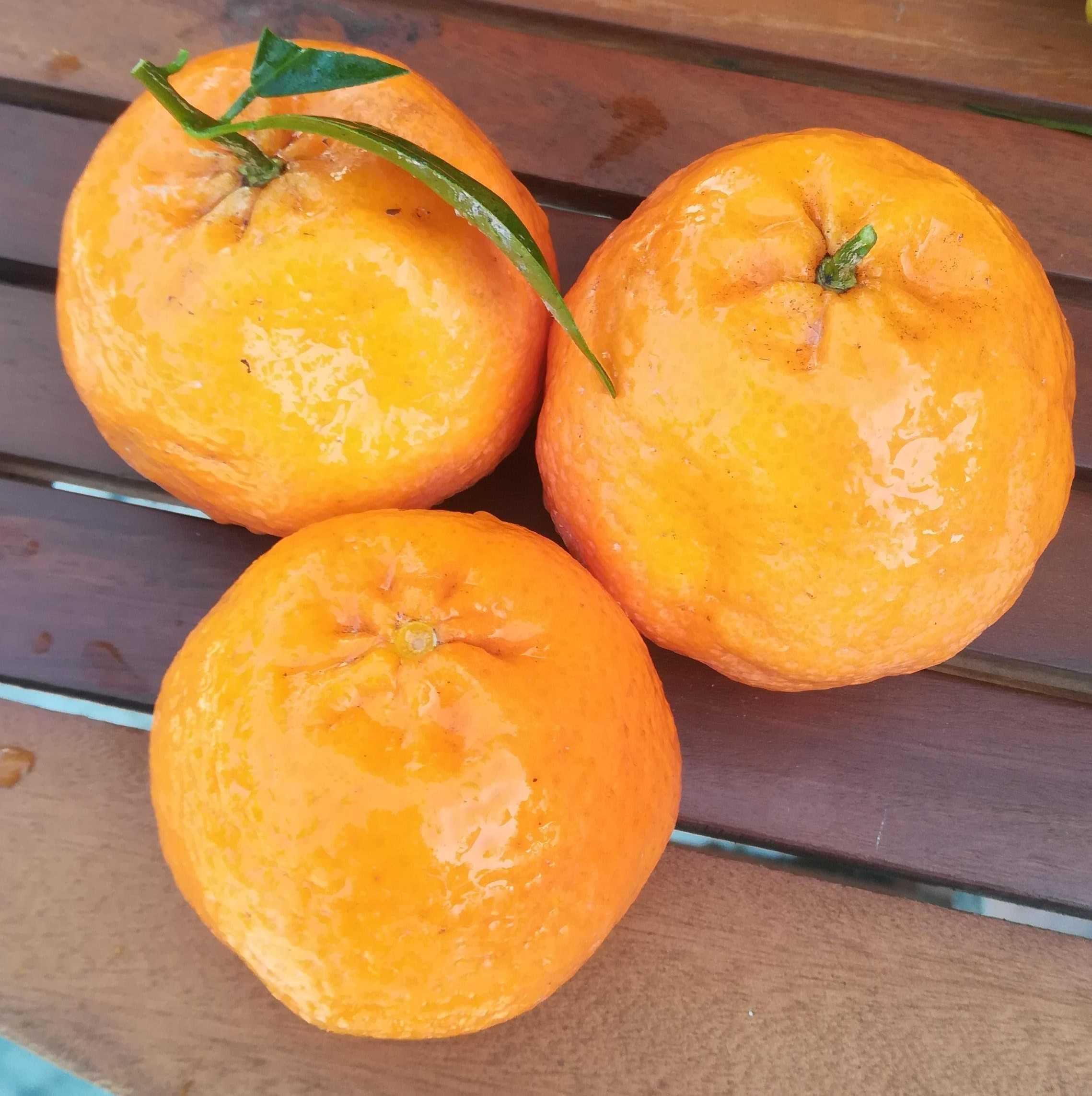 Vende se Fruta (romã / laranjas / tangerinas / clementina)