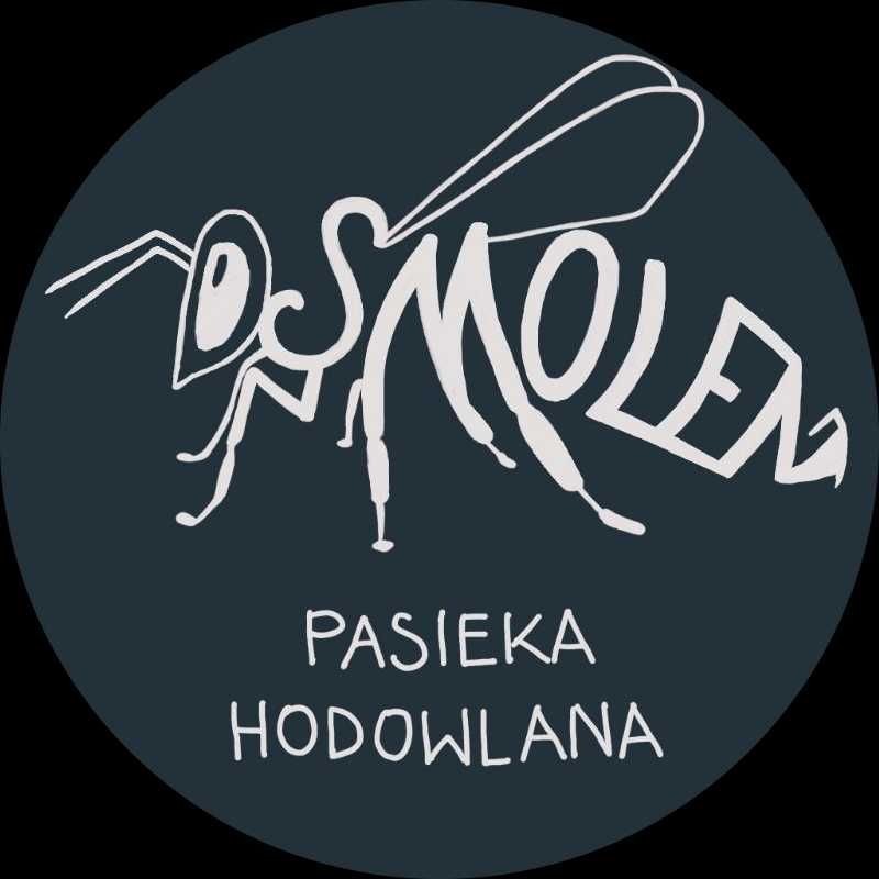 Miód pszczeli duży słoik 0,9 l