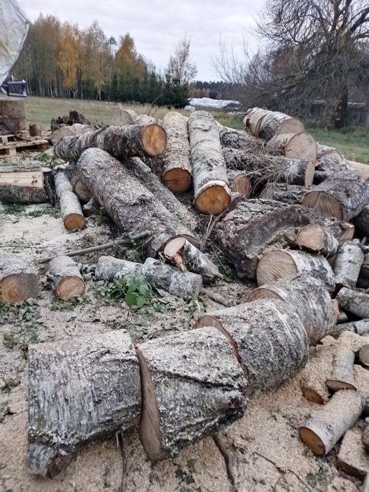 Drzewo opałowe rąbane. Sosna 200 zł m3