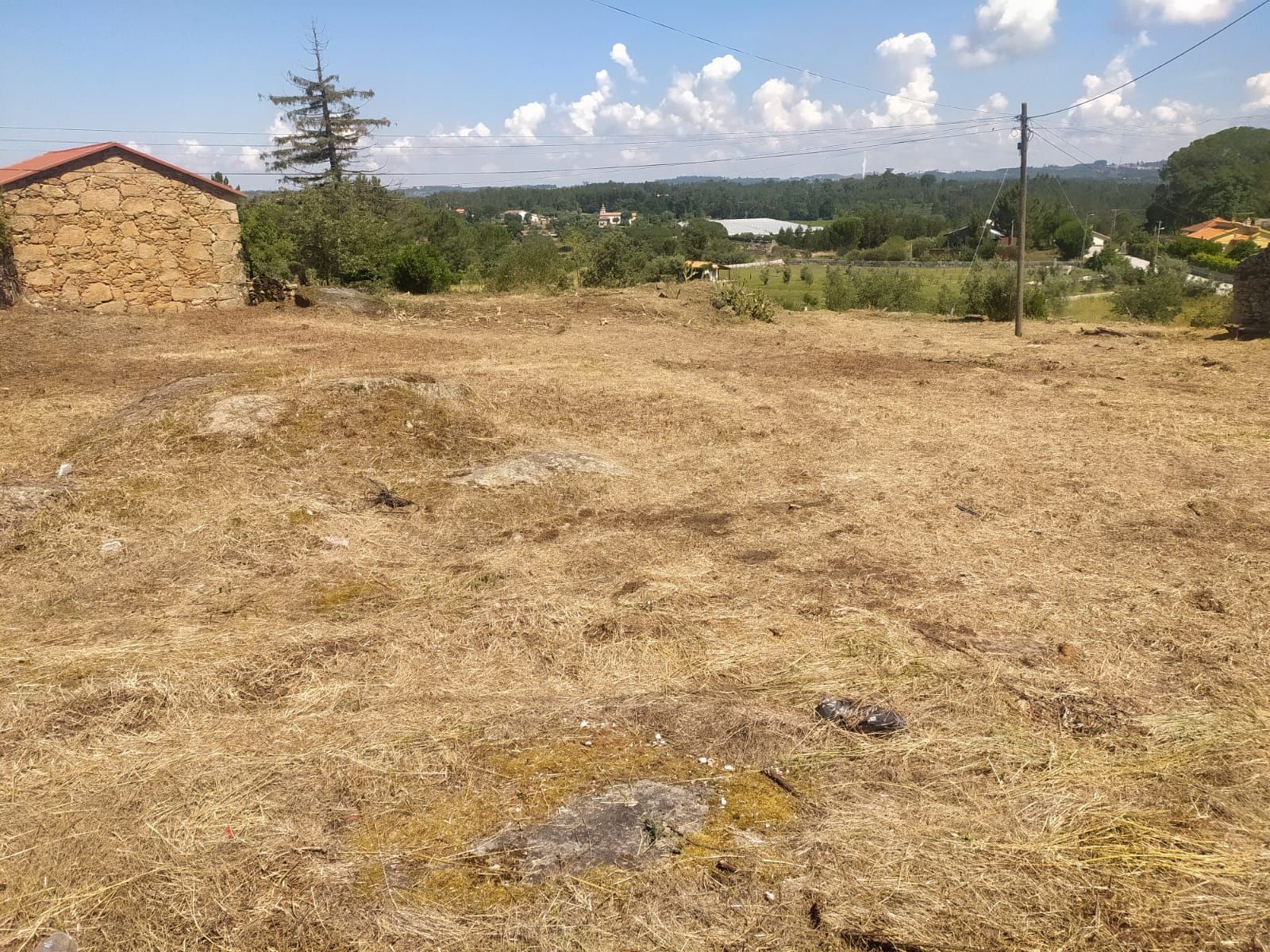 Limpeza de Terrenos