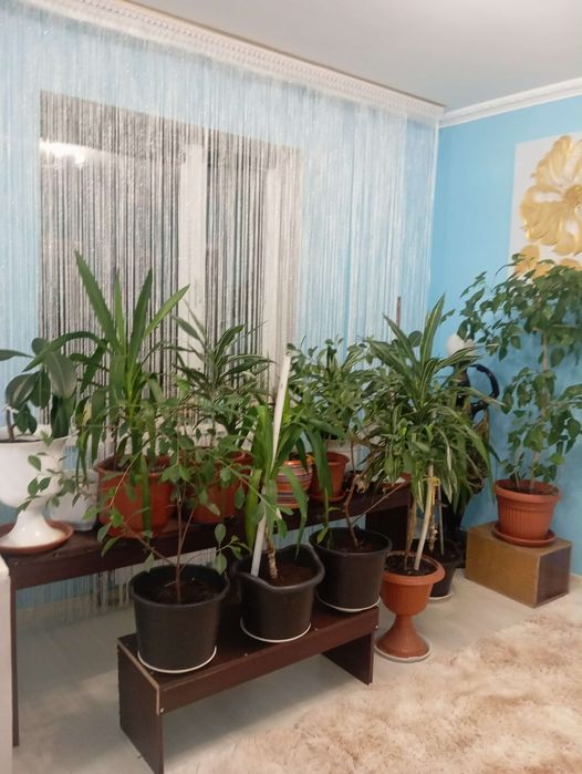 Продаю зимовий сад