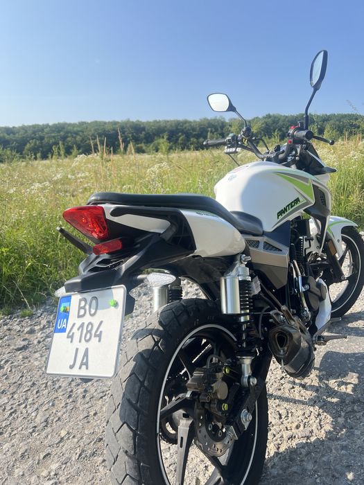 Geon pantera 250