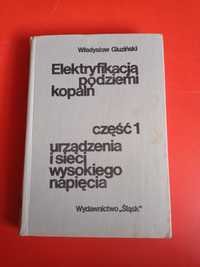 Elektryfikacja podziemi kopalń część I, Władysław Gluziński