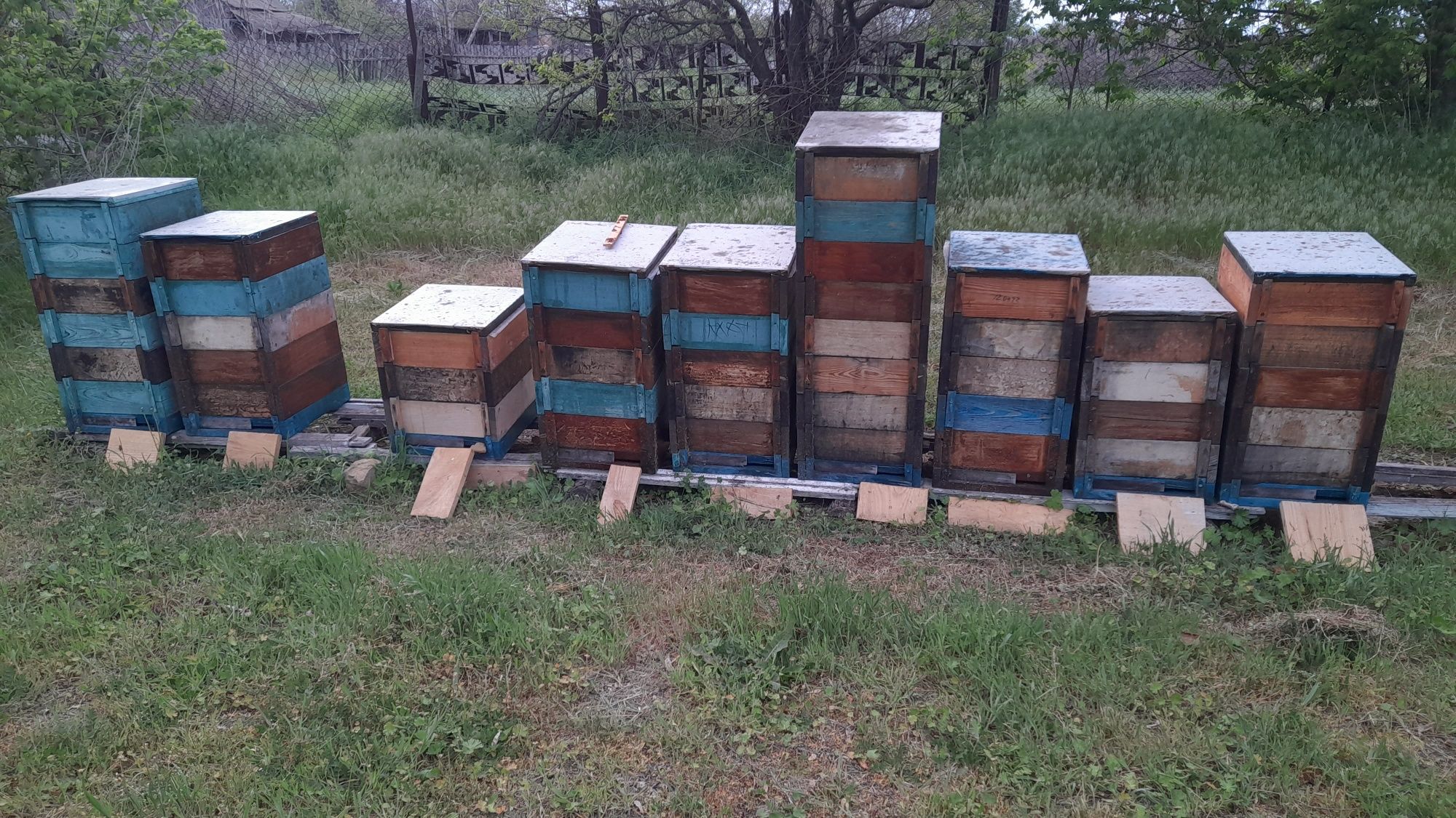 Вулики альпійські