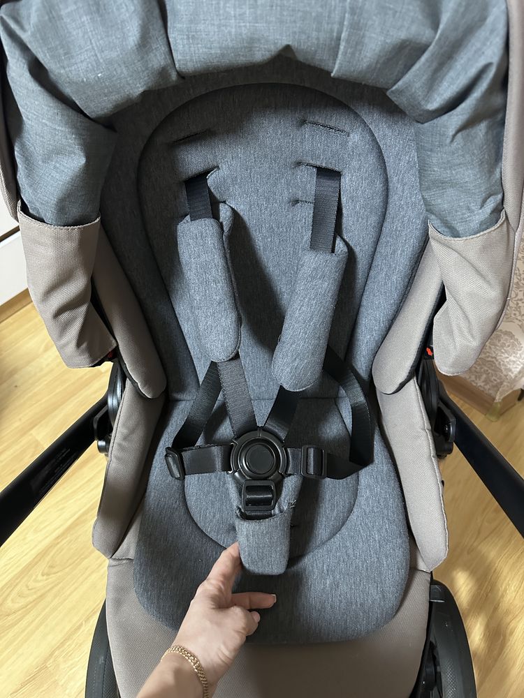 Roan Ivi 2023 Gold Rose