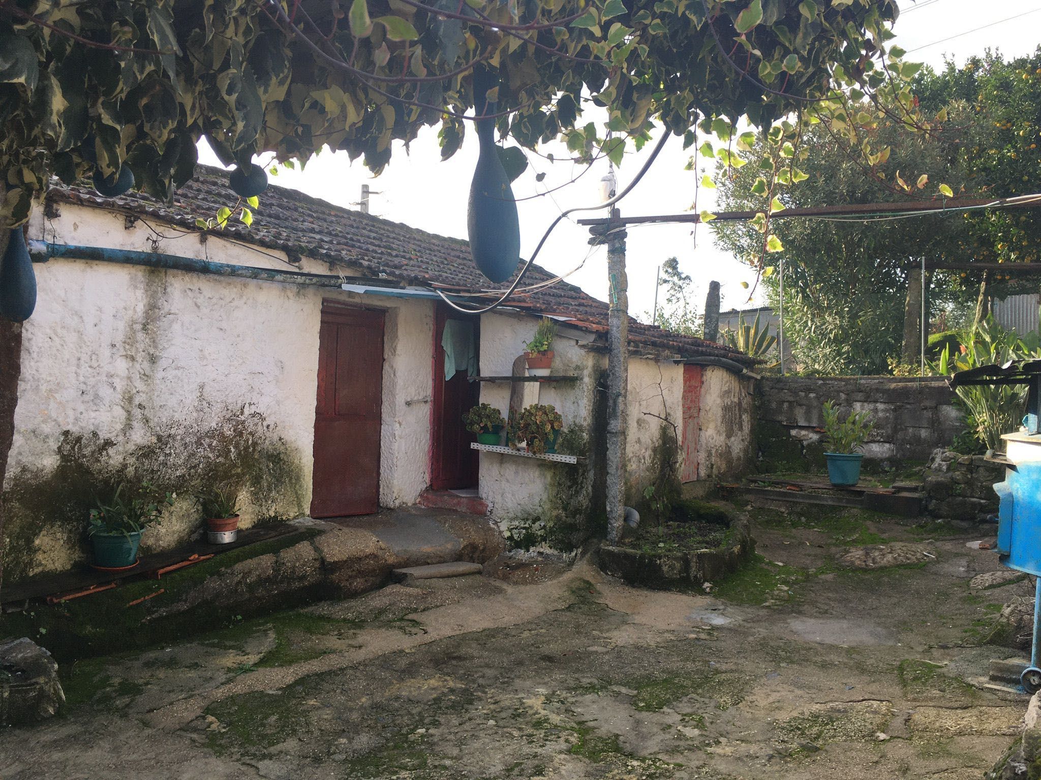 Conjunto de 2 moradias e terreno em zona construção Cabeça Santa