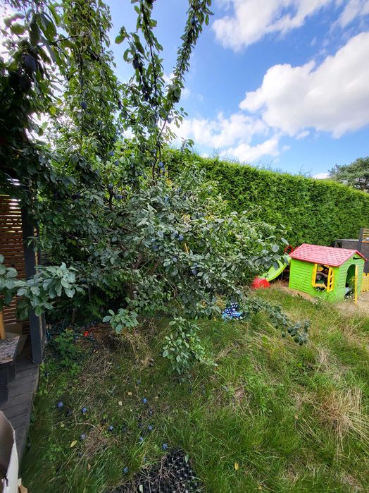 Działka rekreacyjna RODO RELAKS Kulów