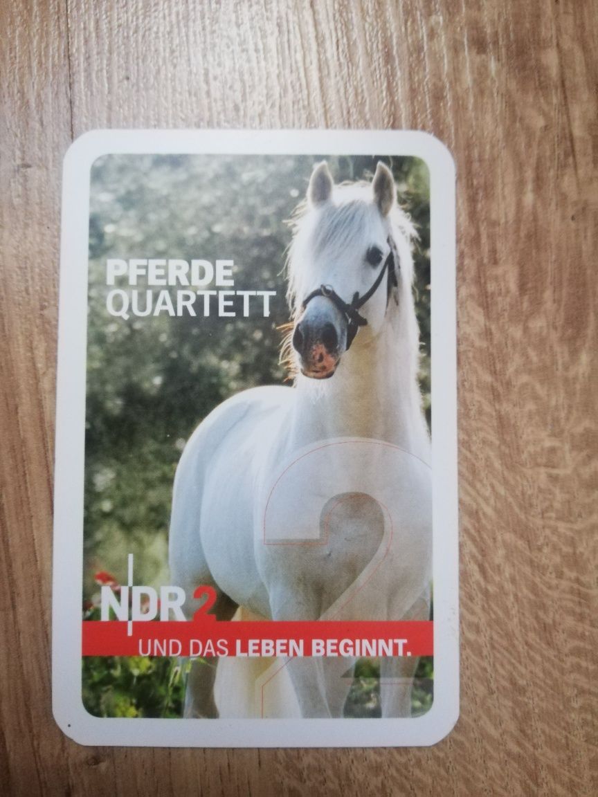 Karty do gry Quartett kwartet niemieckie gra konie kucyki kuce pony