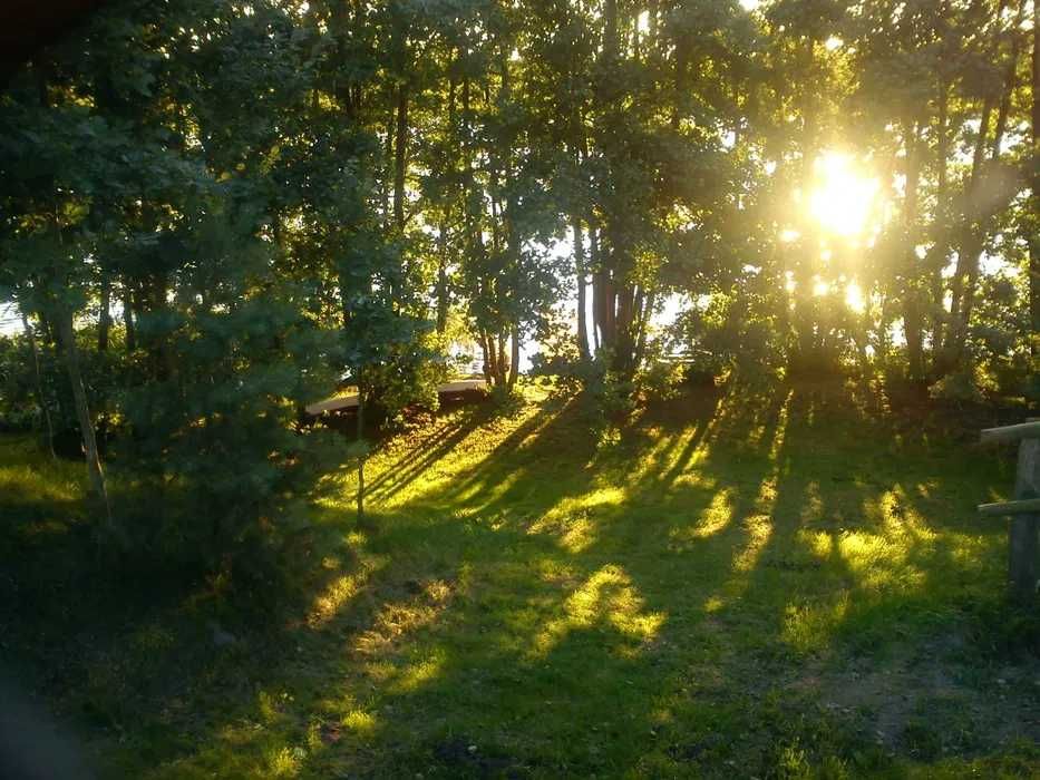 ZWOLNIŁ SIĘ TERMIN OD 10 LIPCA Domek nad jeziorem Kaszuby