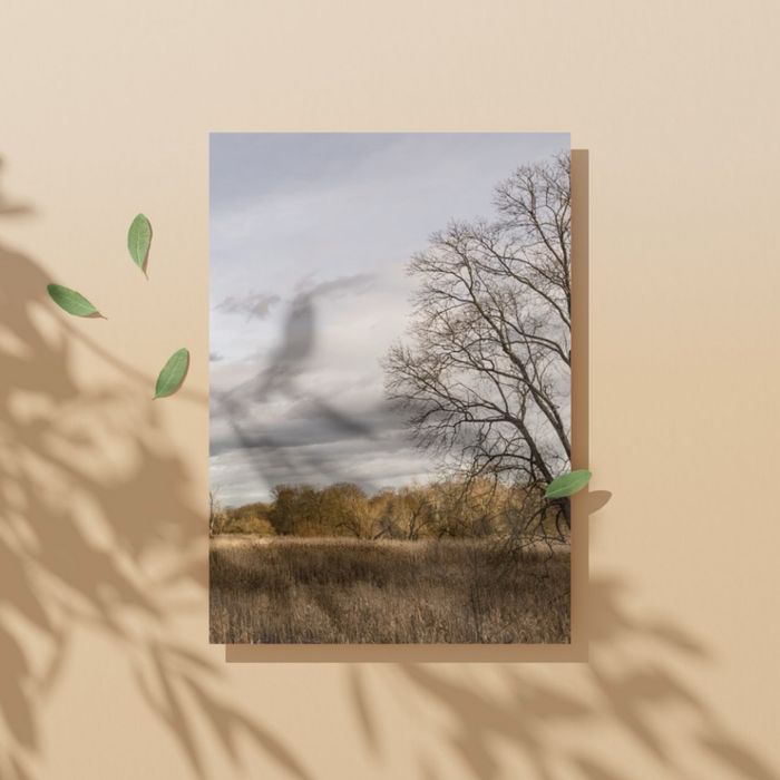 2 plakaty, fotografie, krajobraz “Odrzańskie rozlewiska”