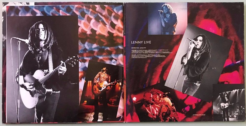 Vinil lote - Lenny Kravitz (2LPs)