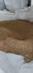 Sprzedam owies 6ton