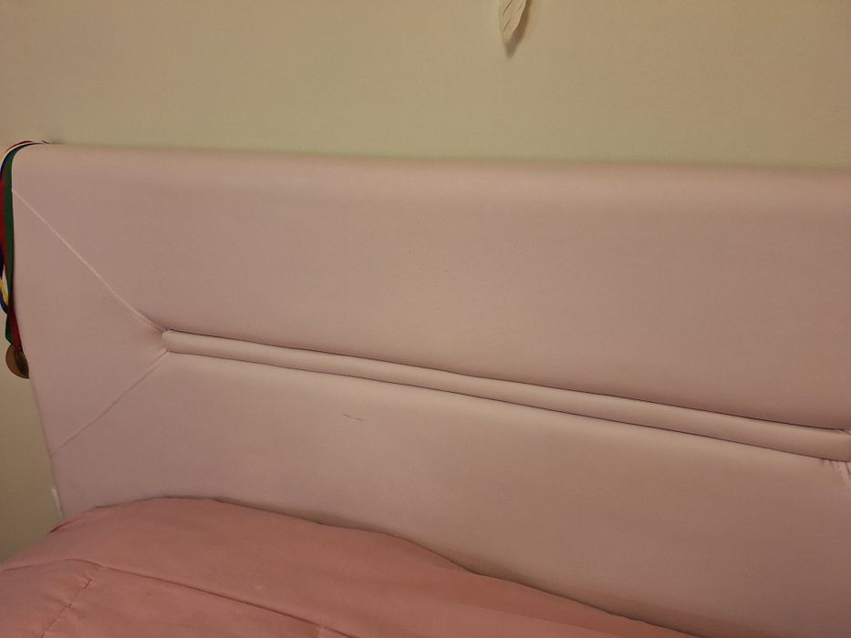 Vendo cama estofada Rosa