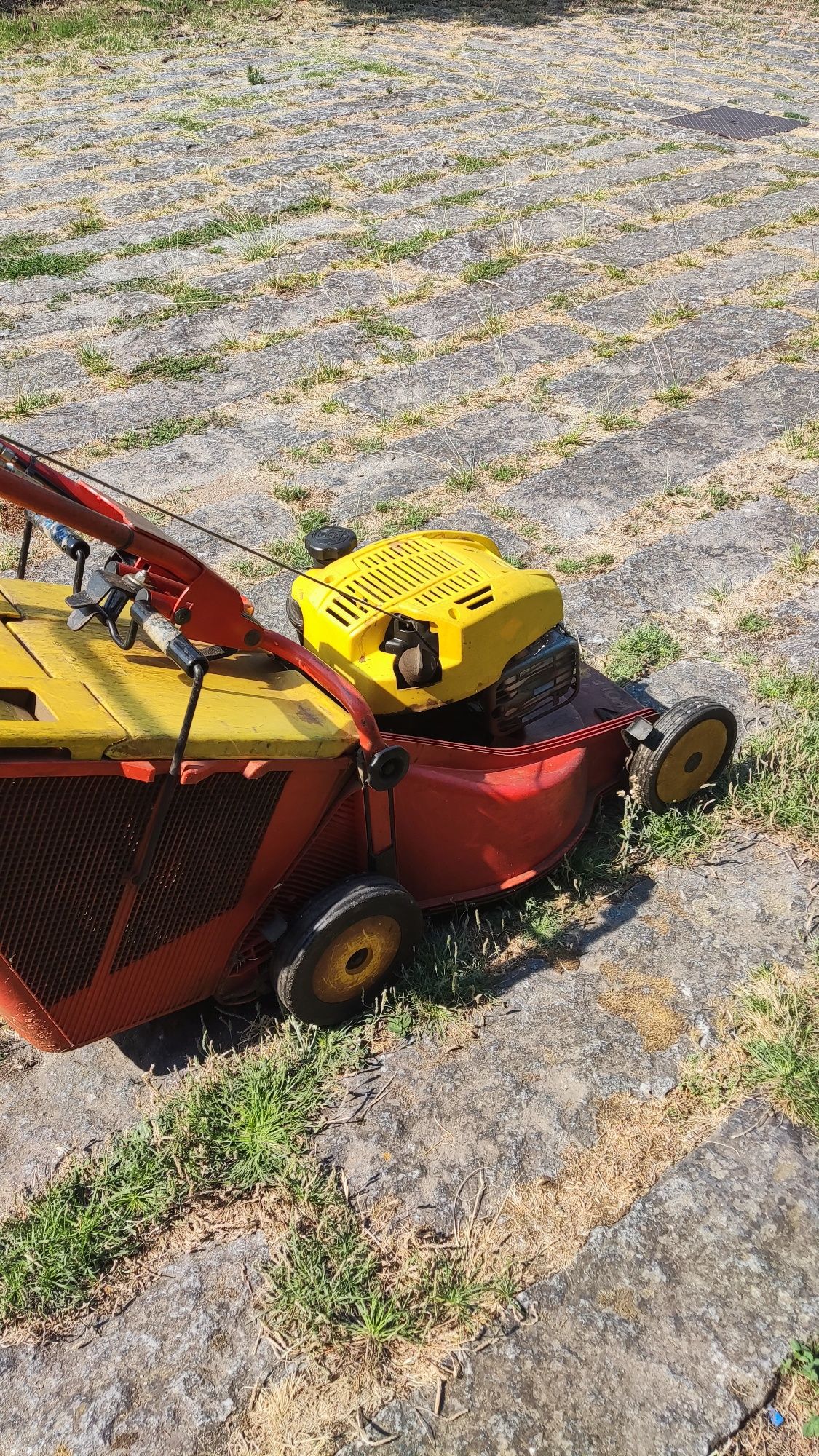Corta relva Briggs & Stratton Wolf