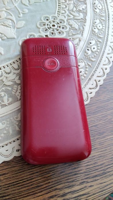 Товар заказан покупателемКактус комнатный