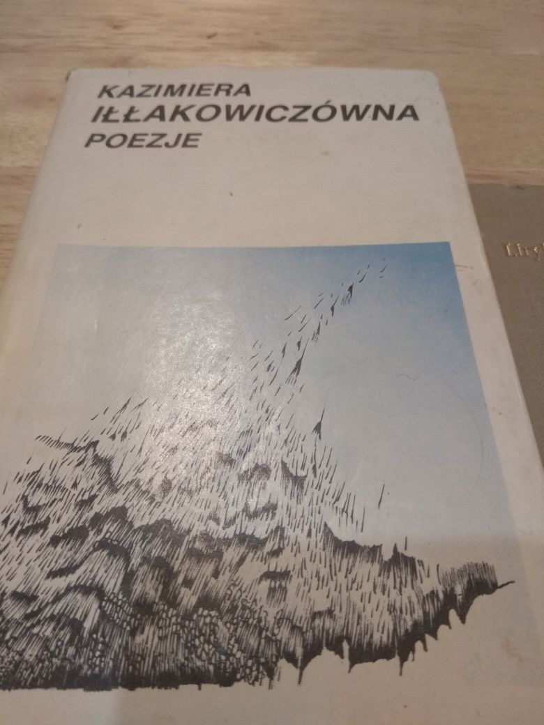 Słowacki Liryki i inne wiersze + Kazimiera poezję