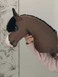 Hobby horse stan bardzo dobry