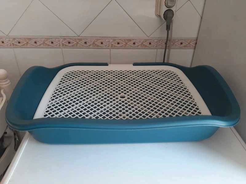 WC de  treinamento para cães