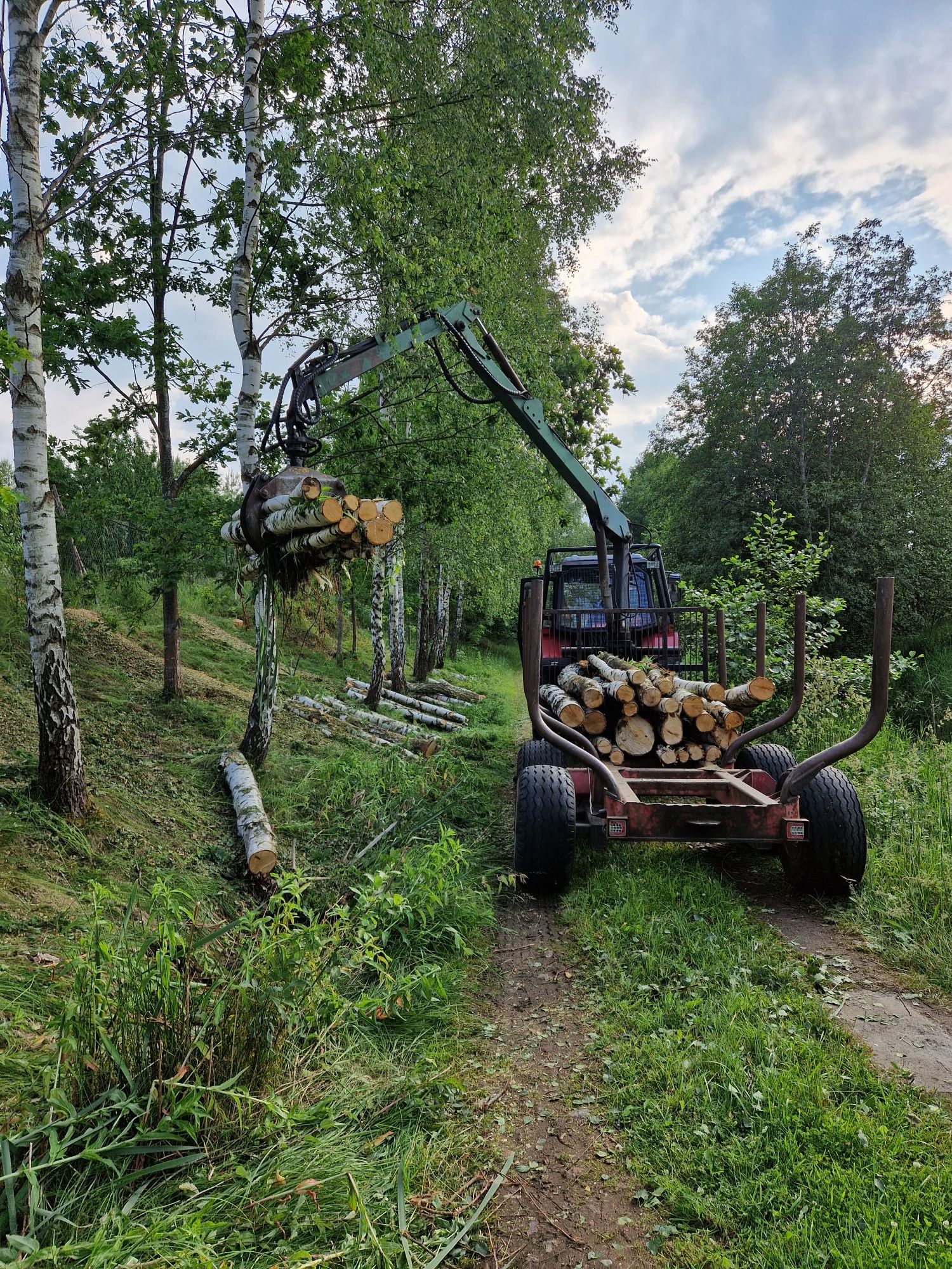 Frezowanie pniaków. Rozdrabnianie gałęzi rębakiem. Zrywka i transport