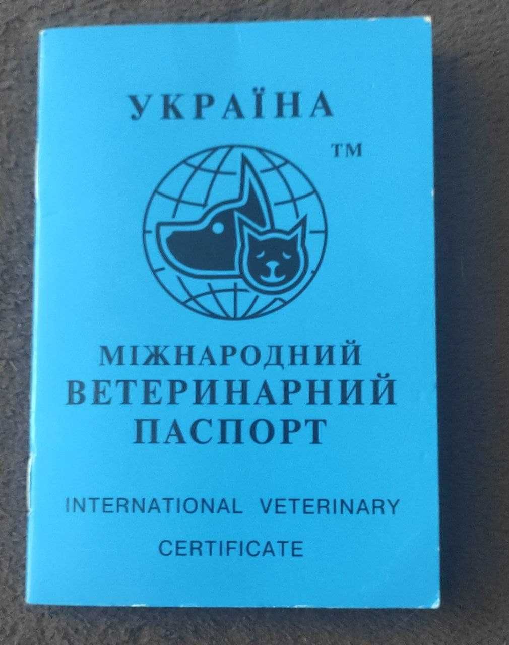 Вязка, шпіц померанець